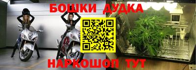спиды Ливны